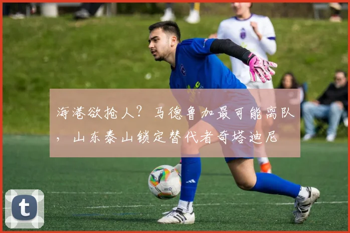 海港欲抢人？马德鲁加最可能离队，山东泰山锁定替代者奇塔迪尼